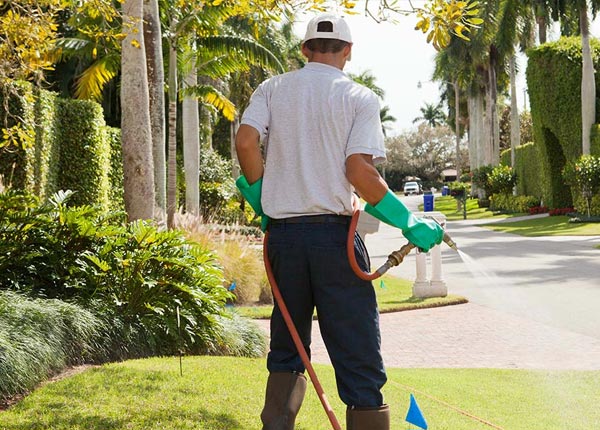 About Chilton WI Pest Control